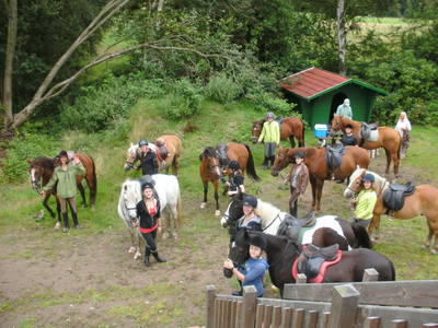Ausritt mit Pause am Naturschutzgebiet Ochsengebiet