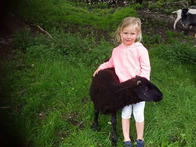 Bild 47 aus  Familienbauernhof Winkelhof