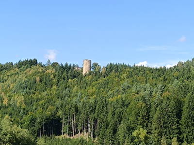 Bild 131 aus  Biohof Viertl