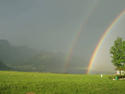 Bild 135 aus  Hagerhof