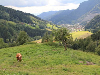 Bild 57 aus  Panorama Hof Fa. Sereinig