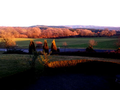 Bild 36 aus Blumentalhof