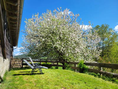 Bild 42 aus  Biohof Gölly