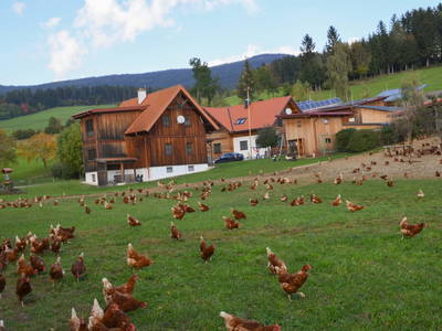 Bild 2 aus  Loiblhof