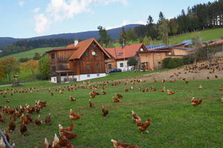Loiblhof aus Sankt Lorenzen am Wechsel