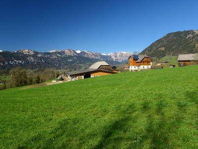 Bild 98 aus  Hüttstädterhof