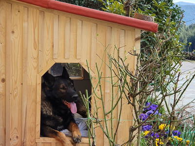 Bild 86 aus  Madritschhof