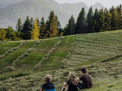 Bild 2 aus  Bio-Bergbauernhof Weger, vlg. Rübenstöffl