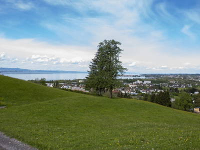 Bild 3 aus  Hausblick Matt