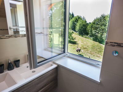 Bild 52 aus  Straußenhof Halmer