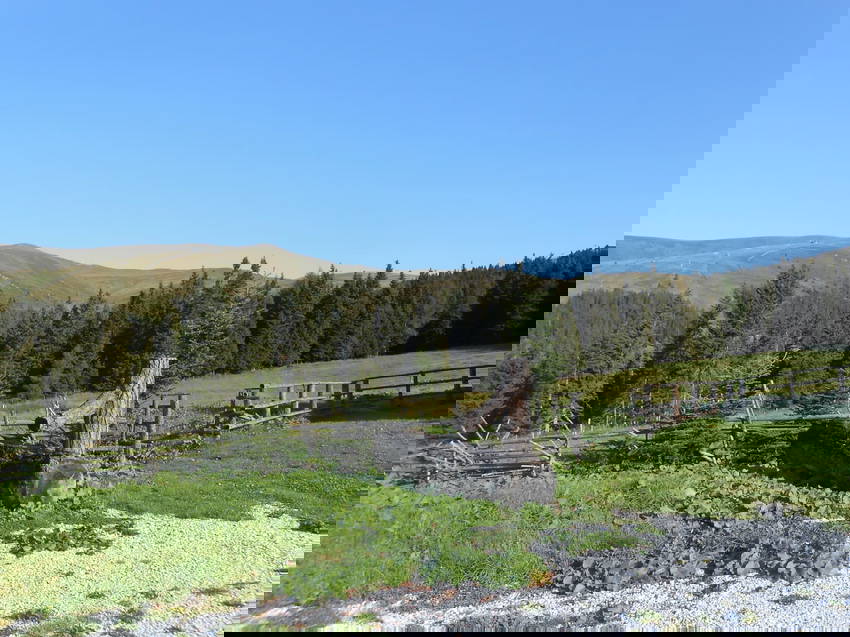 Hütte am Teich in St. Peter am Kammersberg Unterkunft buchen