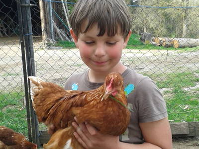 Bild 19 aus  Peinbauerhof