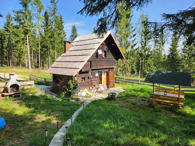 Bild 3 aus  Waldbienenhütte am Erlebnisbiobauernhof
