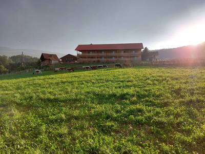 Bild 128 aus  Pircherhof - Adults Only am Biobauernhof