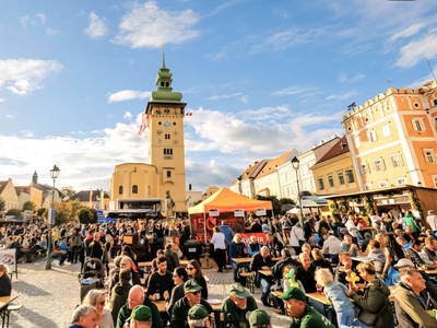 Bild 91 aus  Ferienhaus Weinviertel