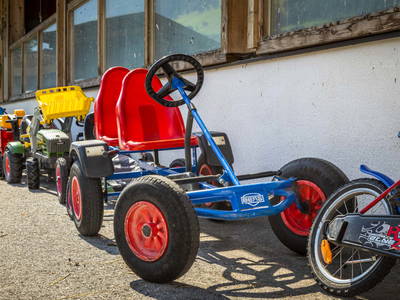 Bild 34 aus  Bio-Bauernhof Schweizerhof