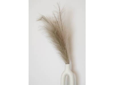 Bild 381 aus  Pimperlhof