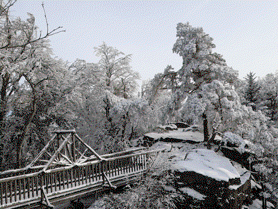 Bild 16 aus  Ferienhaus Angel