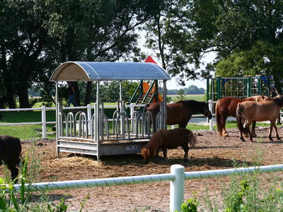 Bild 25 aus  Ferienhof Peter -  Ponys - streicheln, striegeln, füttern  -  Wattwanderungen + ganz viel Nordsee