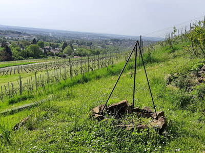 Bild 7 aus  Urige Hütte zwischen Wald und Reben