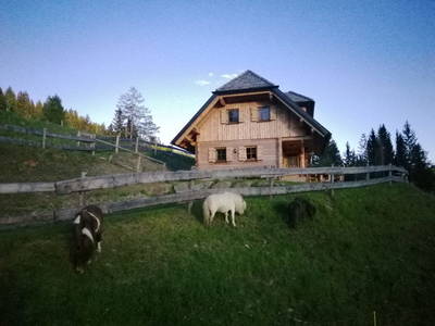 Bild 35 aus  Almchalet Nikola