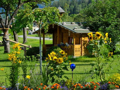 Bild 47 aus  Ferienbauernhof Arnoldgut