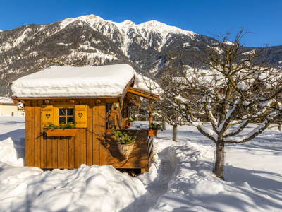 Bild 7 aus  Auszeithütte am Zittrauerhof