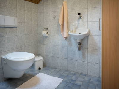 Bild 110 aus  Hauserhof am Goldberg