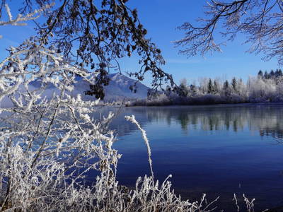 Bild 154 aus Am Linahof