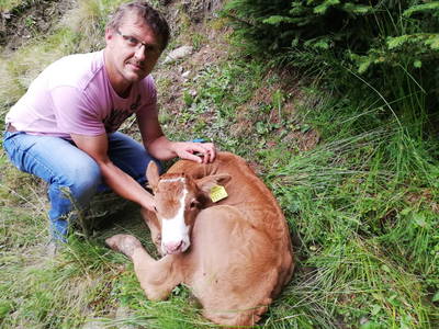 Bild 35 aus  Kracherbauer