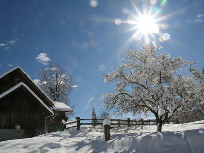 Bild 38 aus  Pfeiferhof