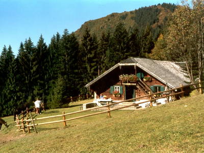 Bild 78 aus  Am Ferienbauernhof Schmiedbauer.com im Salzkammergut