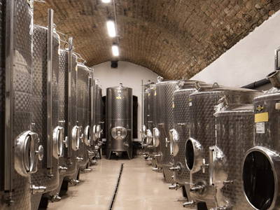 Bild 71 aus  Weingut STRAWANZER Donabaum