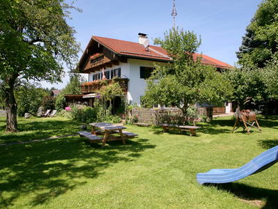 Bild 2 aus  Beim Schmied