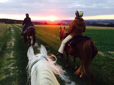 Bild 16 aus  Arabian Harmony