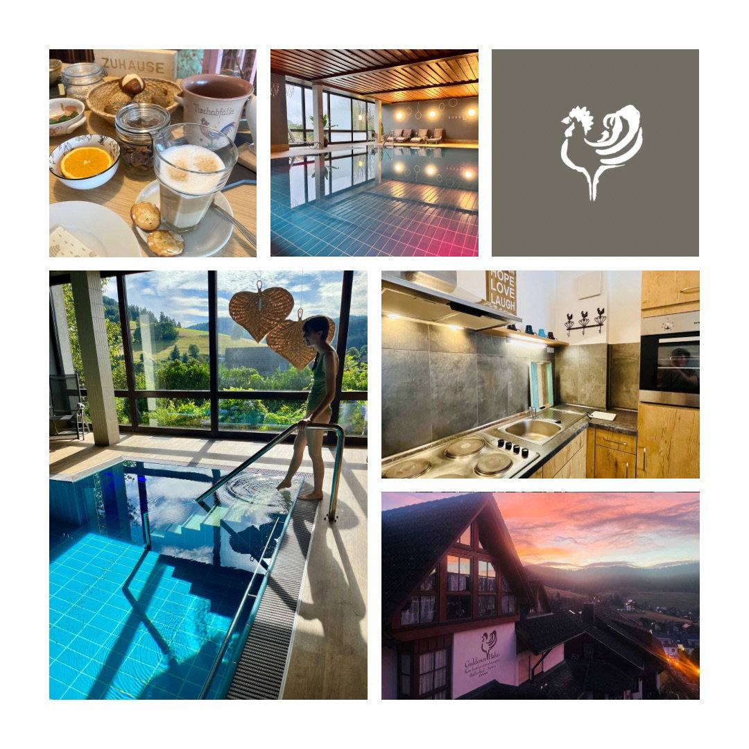 Goldener Hahn - Hyggeliges Aparthotel mit Frühstücksbuffet, Pool & Sauna