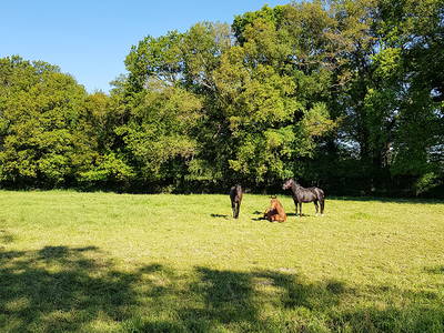 Bild 7 aus  Uttas Lodge