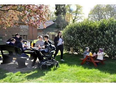 Bild 25 aus  Ferienhof Borchers