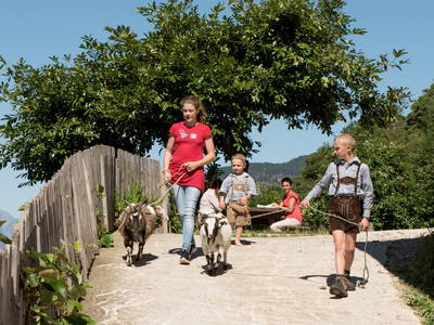 Bild 4 aus  Gfinkerhof