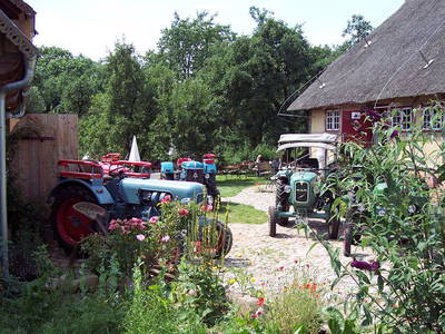 Bild 5 aus  Urlaub unterm Reet