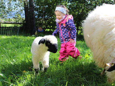 Bild 12 aus  Risthof am Großen Alpsee