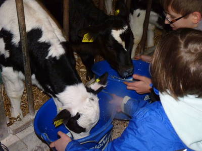 Bild 30 aus  Leverenzhof