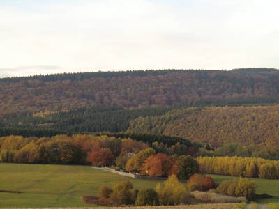 Indian-Summer beim "Adlerhorst-Hunsrück"