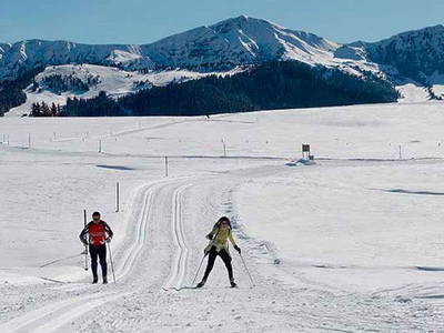 Bild 26 aus  Platzerhof