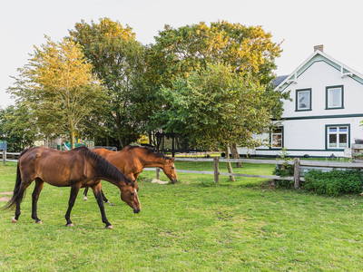 Bild 3 aus  Ferienhof Nordseeblick ****