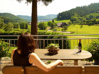 Blick ins Tal von Terrasse - Balkon versch. Wohnungen