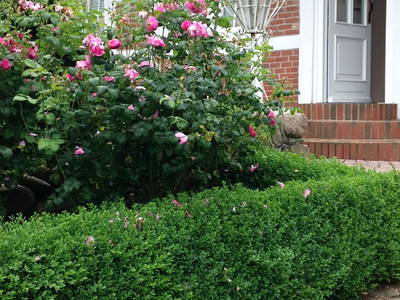 Bild 9 aus  Lütenshof