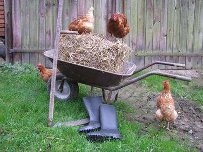 Bild 16 aus  Sonnenlandhof