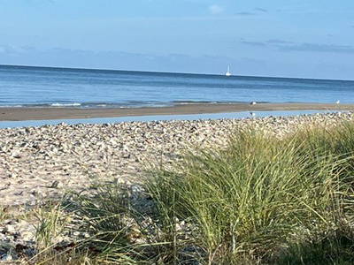 Bild 9 aus  Gut Buckhagen