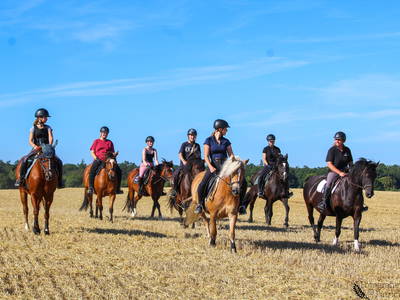 Bild 6 aus  Premium - Ferienhof Lunau an der Ostsee